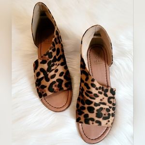 Size 6.5 leopard flat. Beast brand.